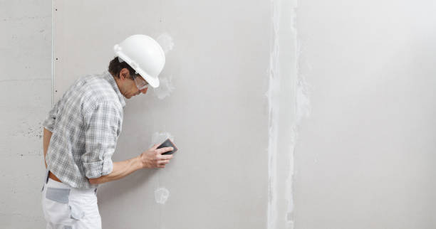 Best Asbestos and Lead Testing During Mold Inspection  in Leavenworth, KS
