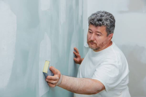 Best Attic Mold Removal  in Leavenworth, KS