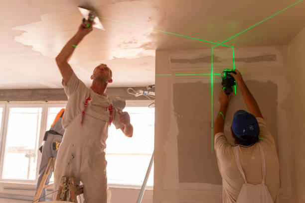 Mold Odor Removal Services in Leavenworth, KS
