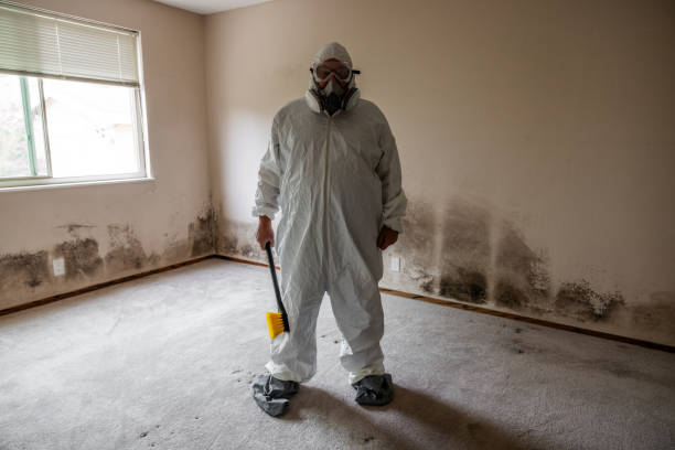 Best Post-Remediation Verification Testing  in Leavenworth, KS