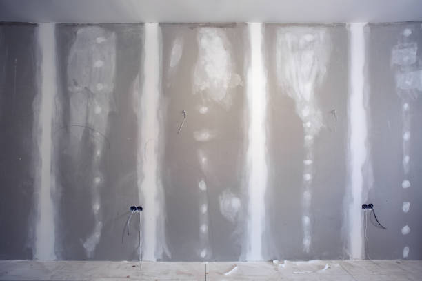 Best HVAC Mold Inspection and Cleaning  in Leavenworth, KS
